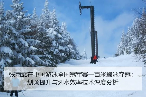 张雨霏在中国游泳全国冠军赛一百米蝶泳夺冠：划频提升与划水效率技术深度分析